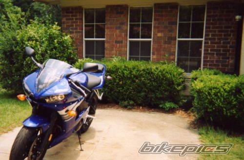 2003 YAMAHA YZF R6 | Picture 72451 motorcycle photo