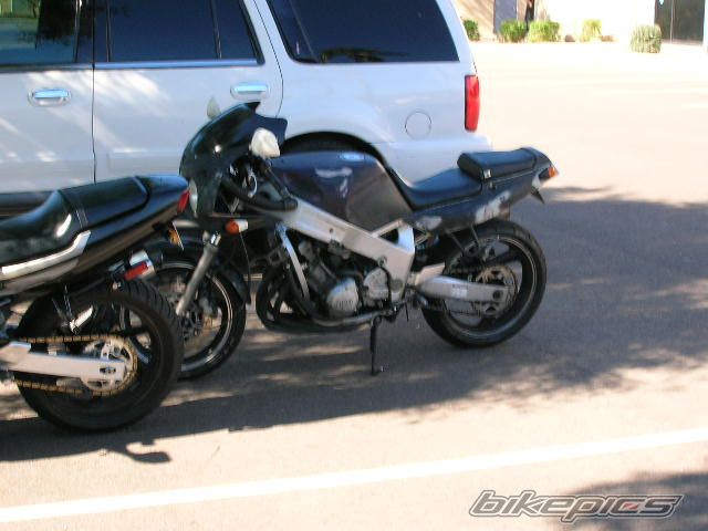    | Picture 724781 motorcycle photo