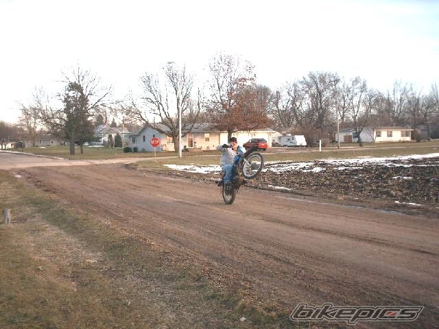 1981 SUZUKI TS 185 | Picture 725099 motorcycle photo