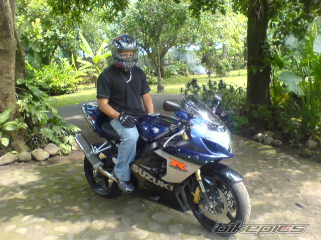 2005 SUZUKI GSX R 750 | Picture 725102 motorcycle photo