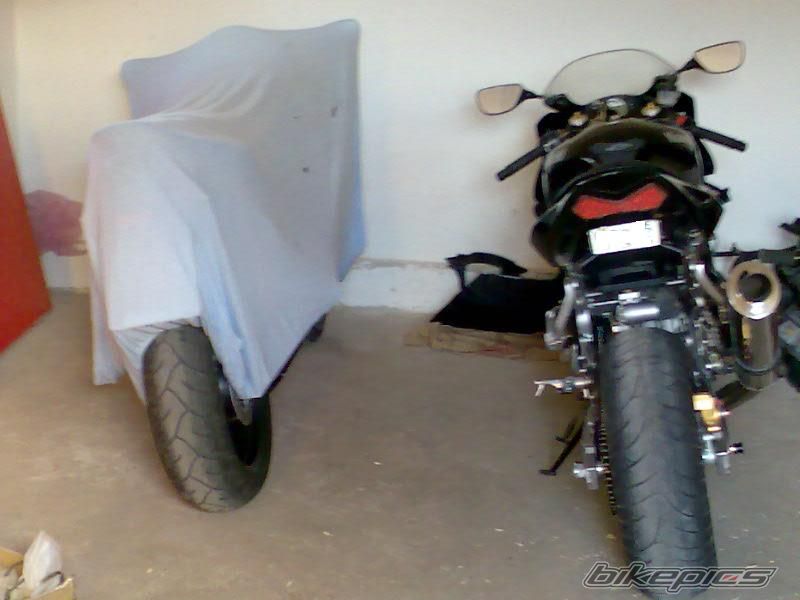 2003 KAWASAKI ZX 6R | Picture 725349 motorcycle photo