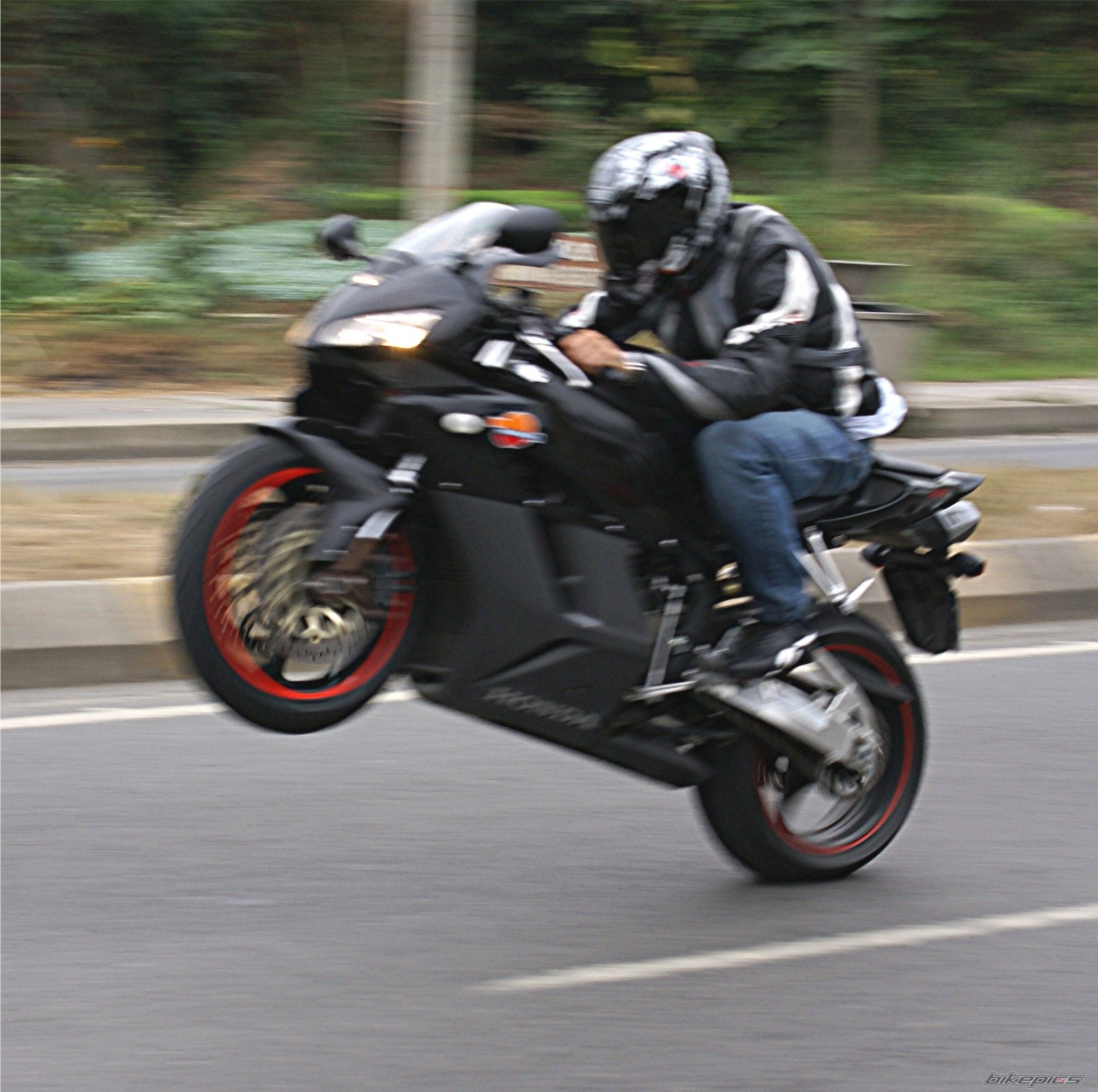 2006 HONDA CBR 1000  RR | Picture 725459 motorcycle photo