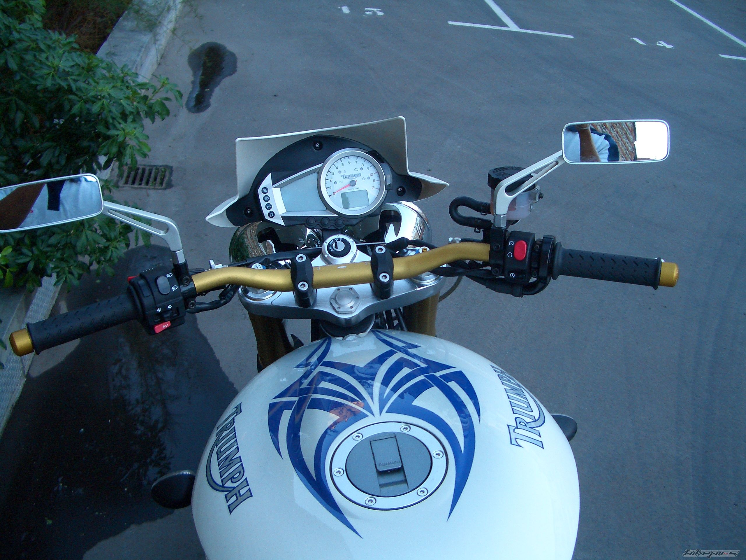 2006 TRIUMPH SPEED TRIPLE | Picture 726152 motorcycle photo