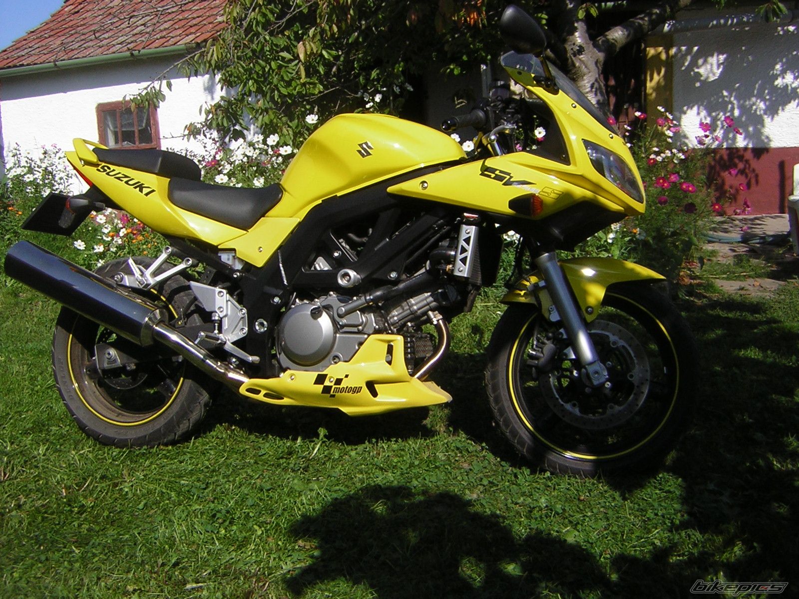 2005 SUZUKI SV 650S | Picture 726933 motorcycle photo