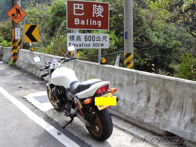 2002 HONDA CB 400 | Picture 727070 motorcycle photo