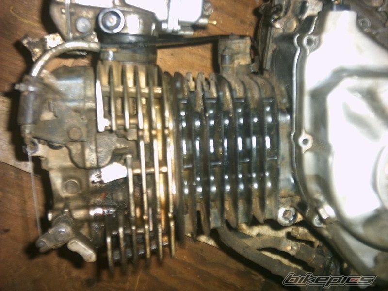 1986 SUZUKI DR 600 | Picture 727363 motorcycle photo