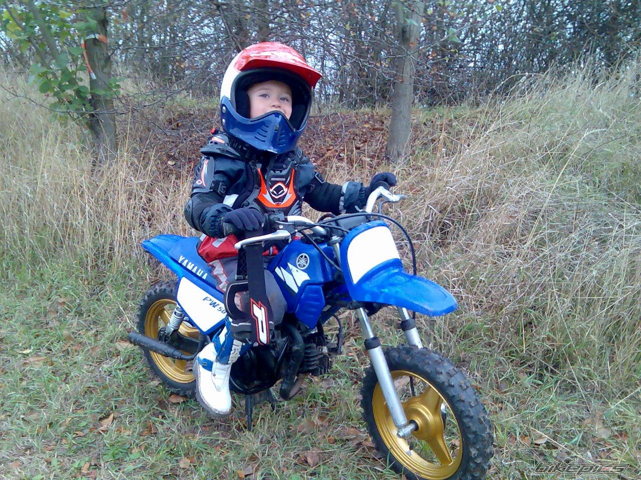 2003 YAMAHA PW 50 | Picture 727619 motorcycle photo