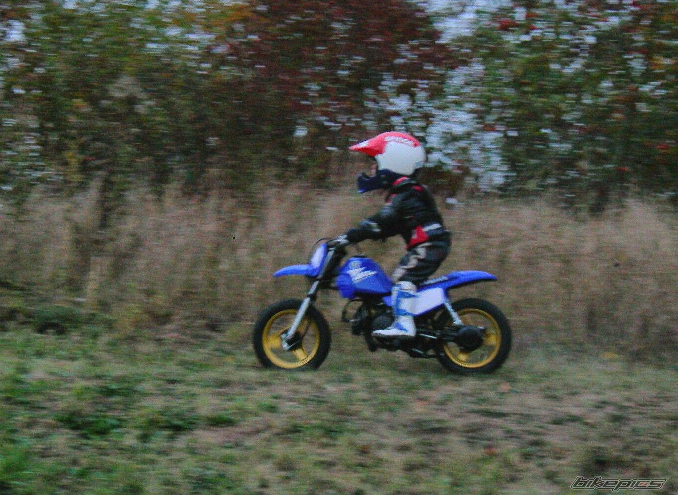 2003 YAMAHA PW 50 | Picture 727621 motorcycle photo