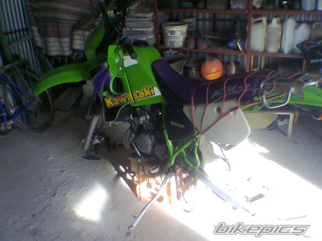 1999 KAWASAKI KMX 125 | Picture 728402 motorcycle photo