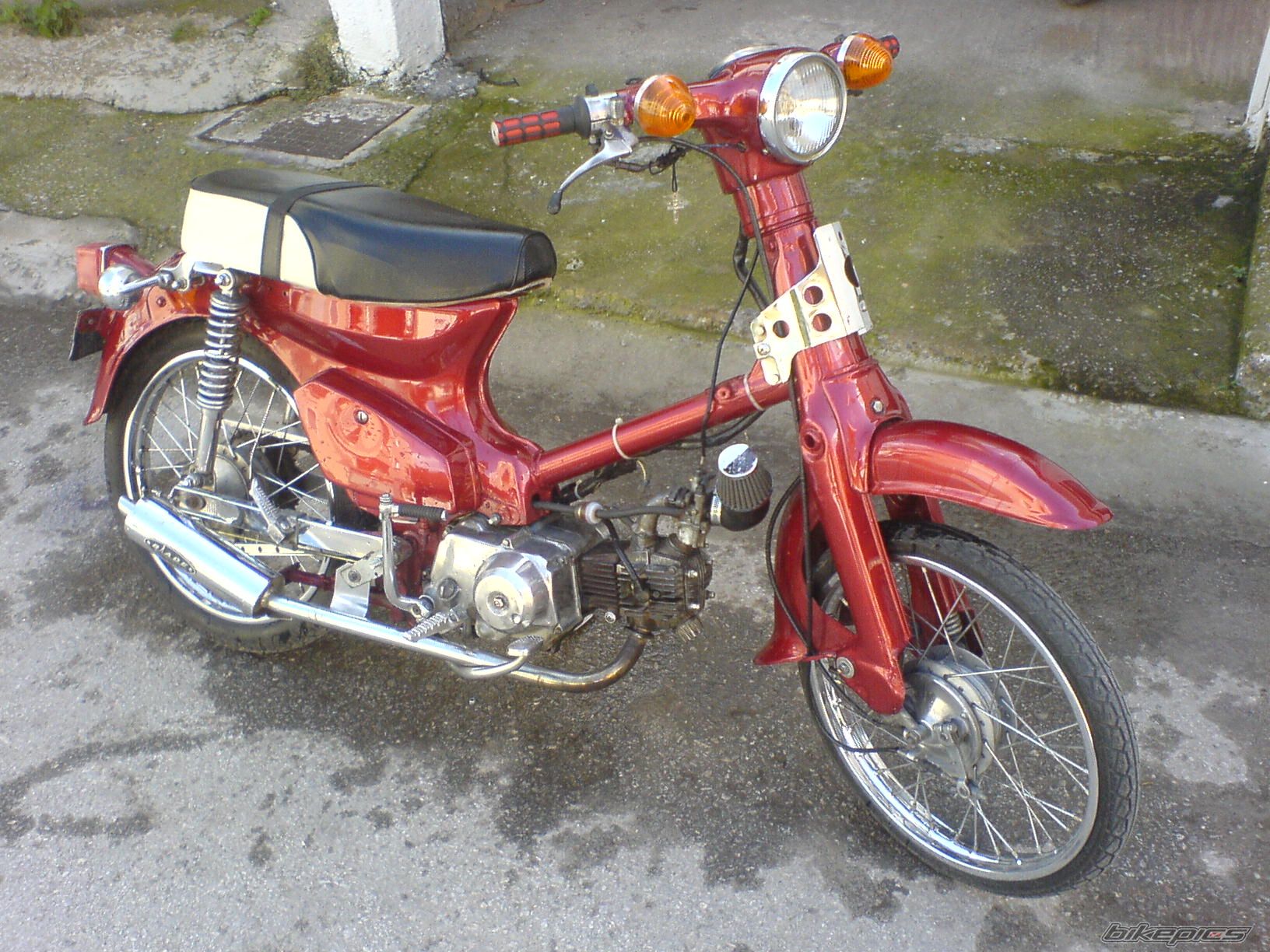 1976 HONDA SUPER CUB 50 | Picture 728488 motorcycle photo