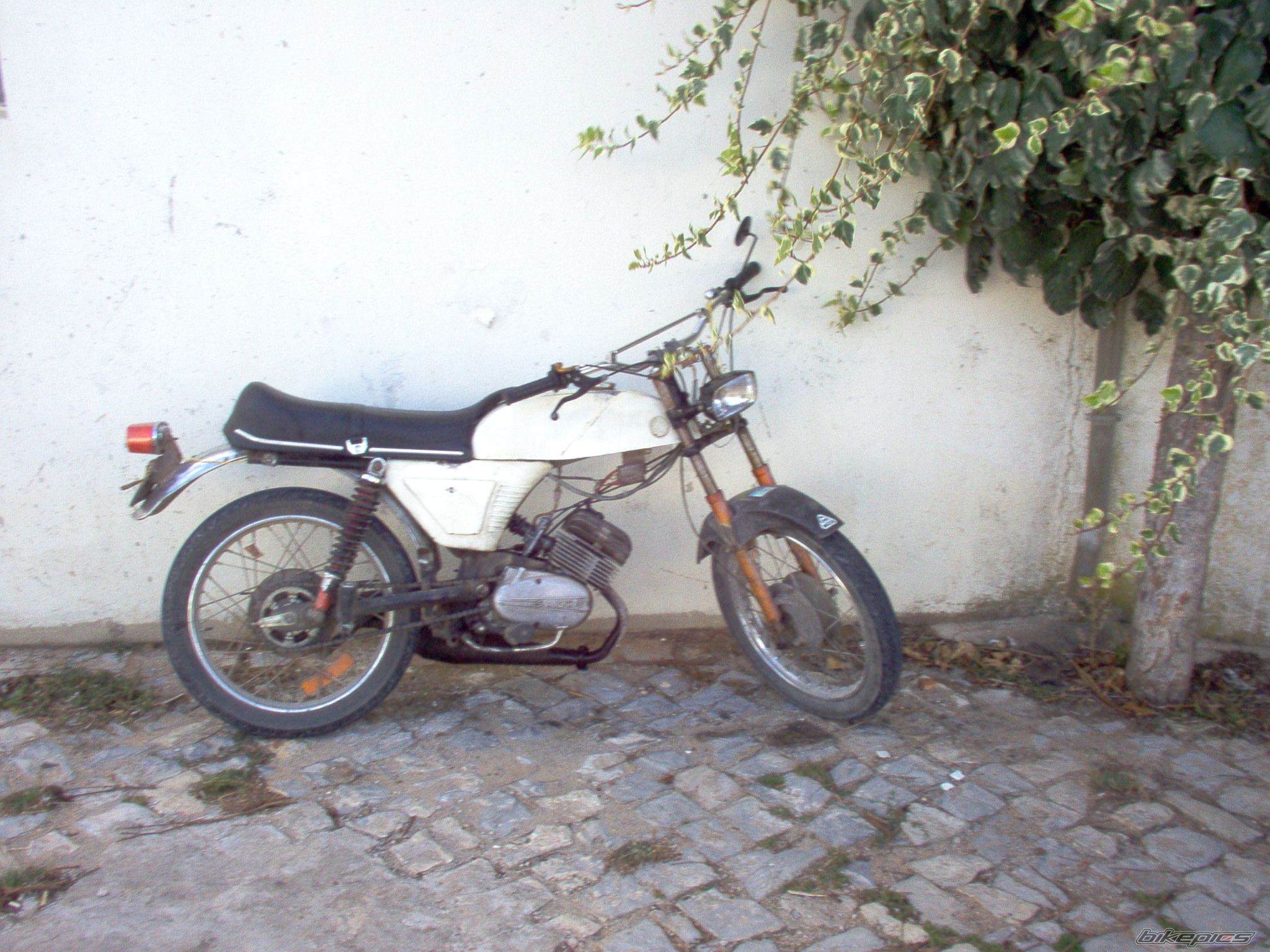 1979 SACHS FORMULA 1 | Picture 728489 motorcycle photo