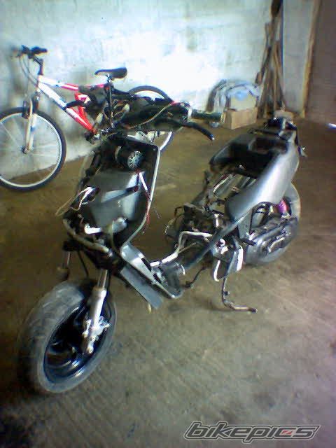 1994 MALAGUTI F 12 50 | Picture 729196 motorcycle photo