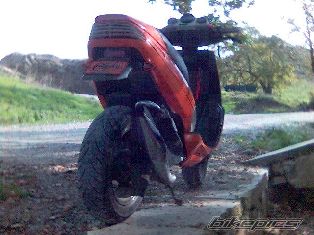1994 MALAGUTI F 12 50 | Picture 729199 motorcycle photo