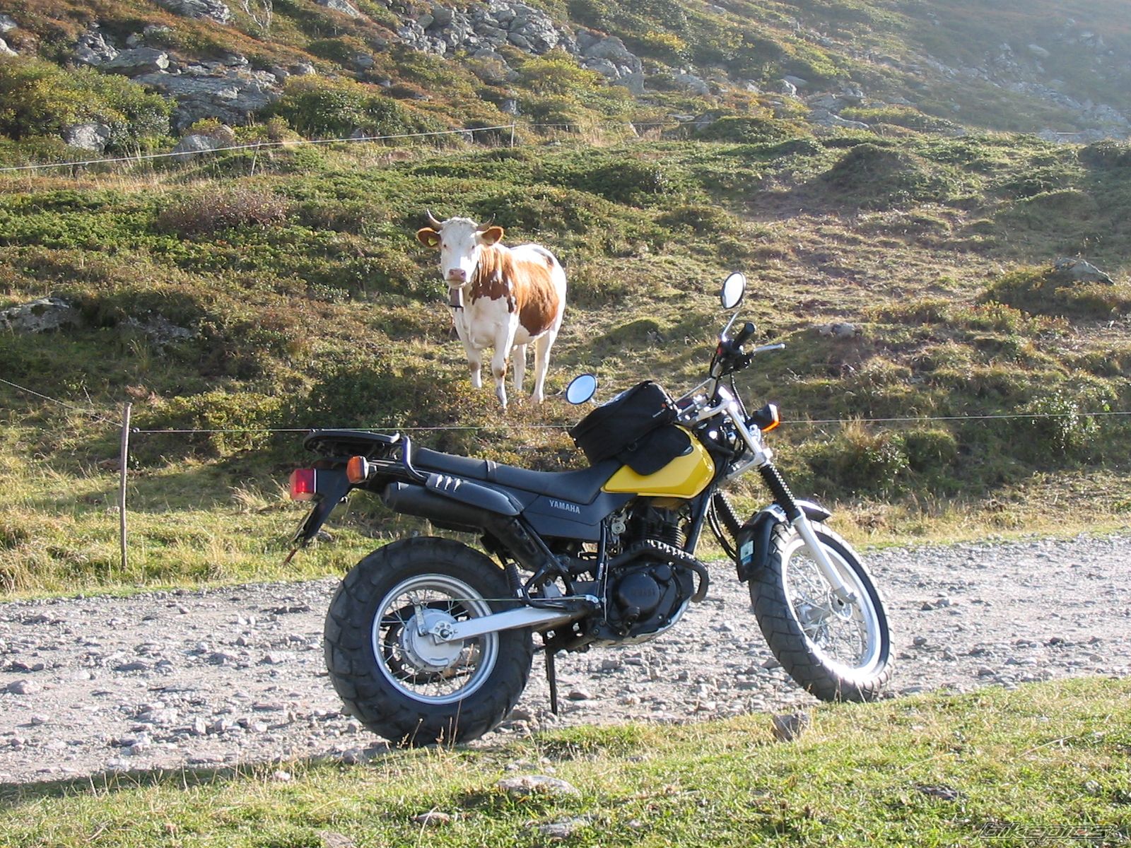 2003 YAMAHA TW 125 | Picture 729658 motorcycle photo