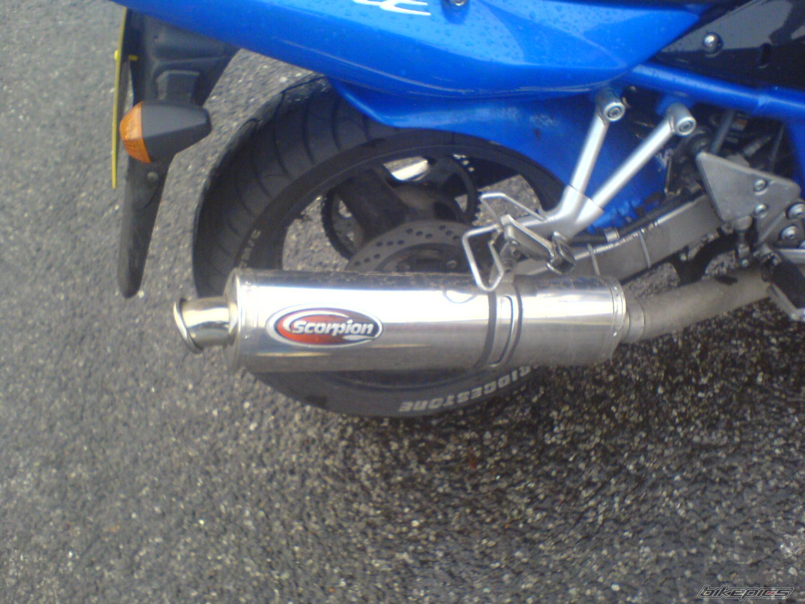 2005 SUZUKI BANDIT 600 | Picture 729679 motorcycle photo
