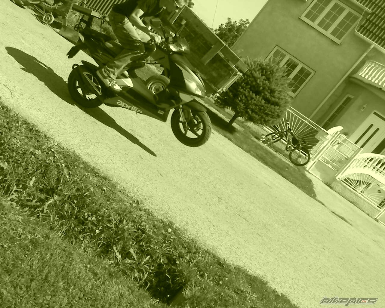2006 APRILIA SR 50 | Picture 729793 motorcycle photo