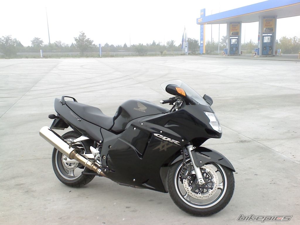 2006 HONDA CBR 1100 BLACKBIRD | Picture 729954 motorcycle photo