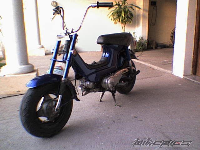    | Picture 730441 motorcycle photo