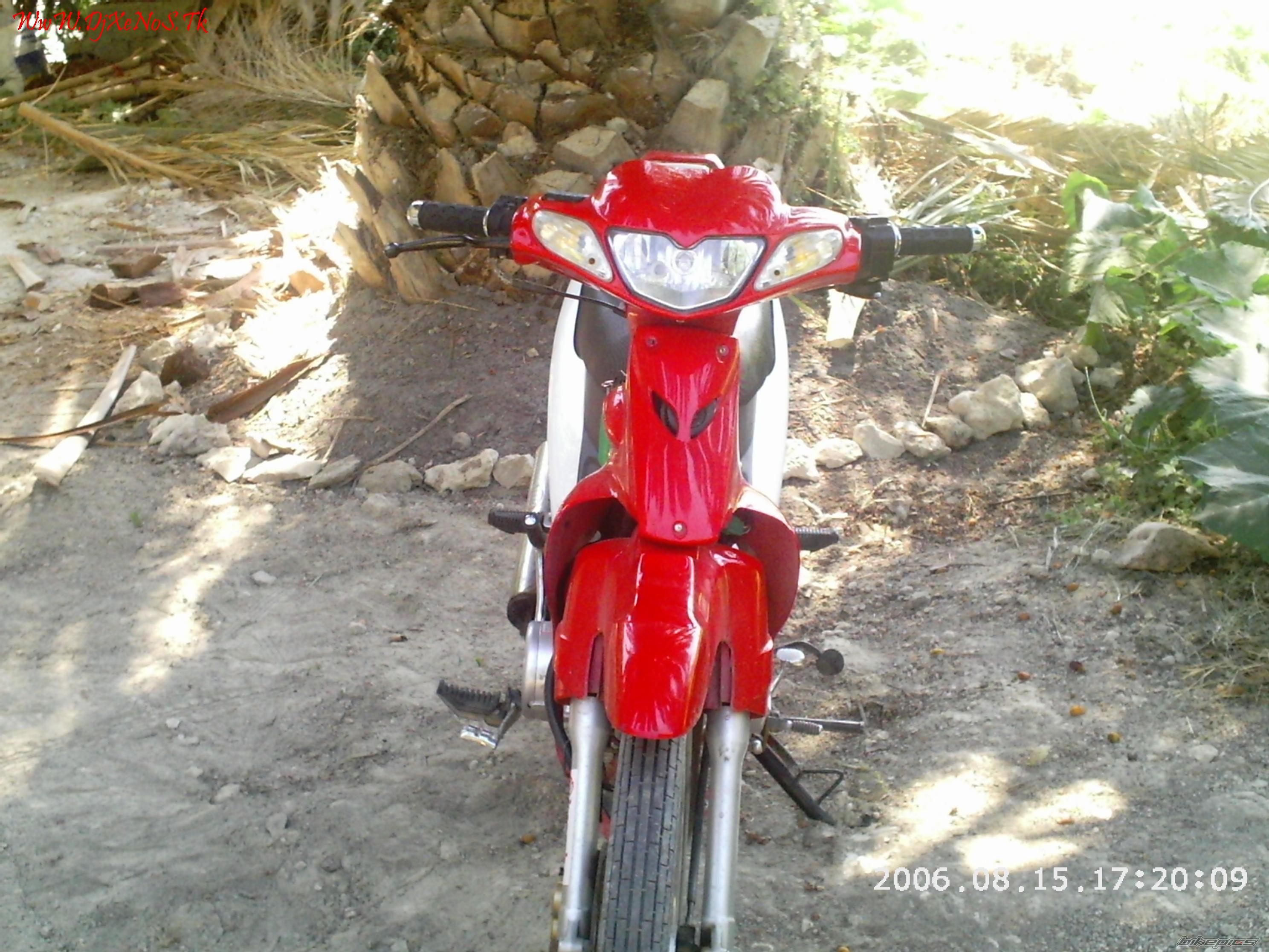 2005 LIFAN LF 125 | Picture 730515 motorcycle photo