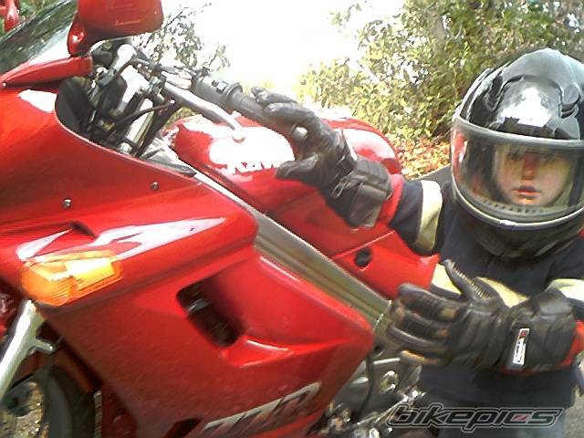 1990 KAWASAKI ZZR 250 | Picture 73071 motorcycle photo
