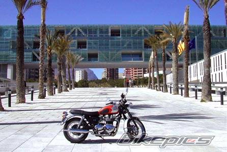 2002 TRIUMPH BONNEVILLE | Picture 73081 motorcycle photo
