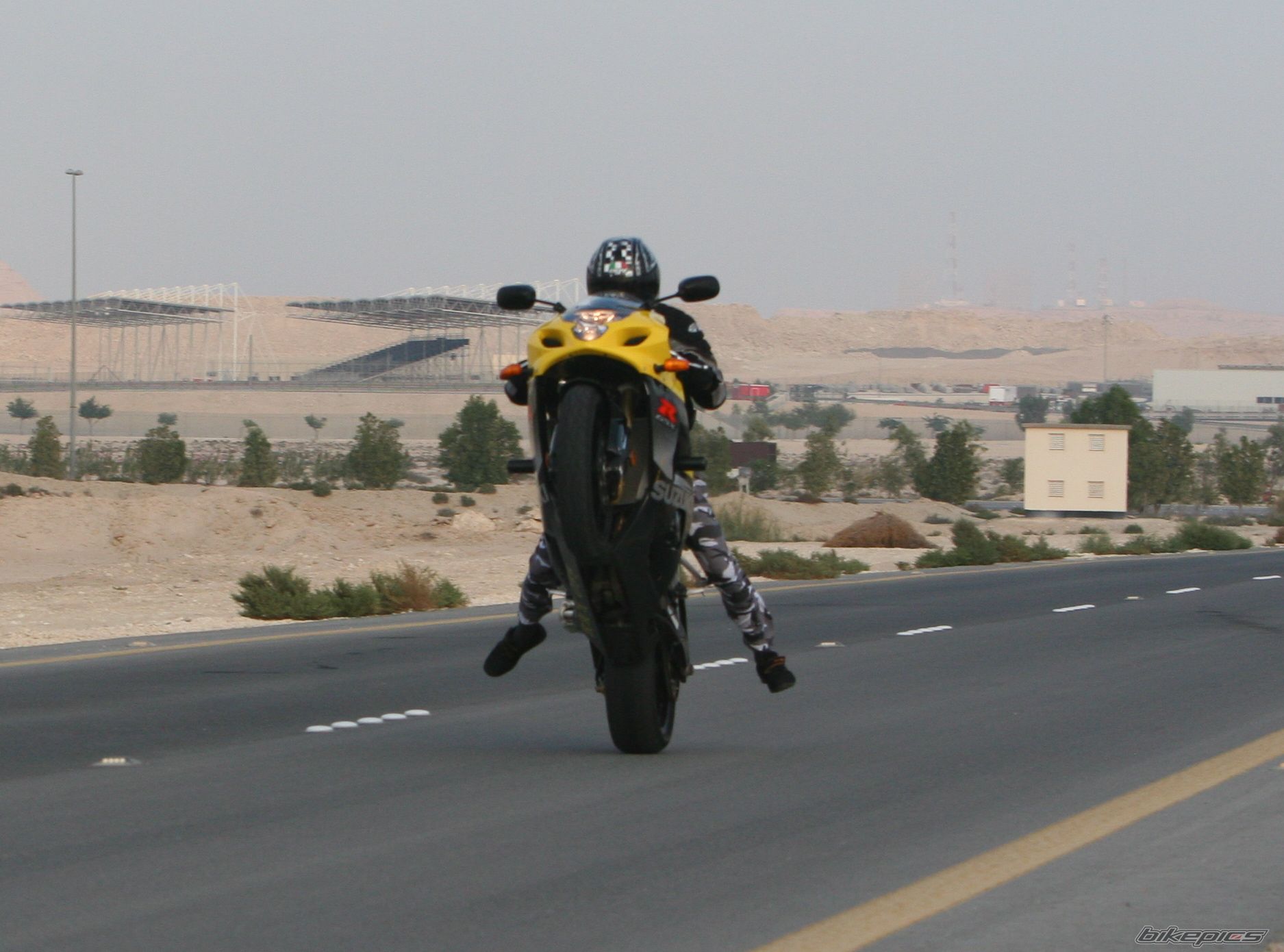 2006 SUZUKI GSX R 1000 | Picture 730841 motorcycle photo
