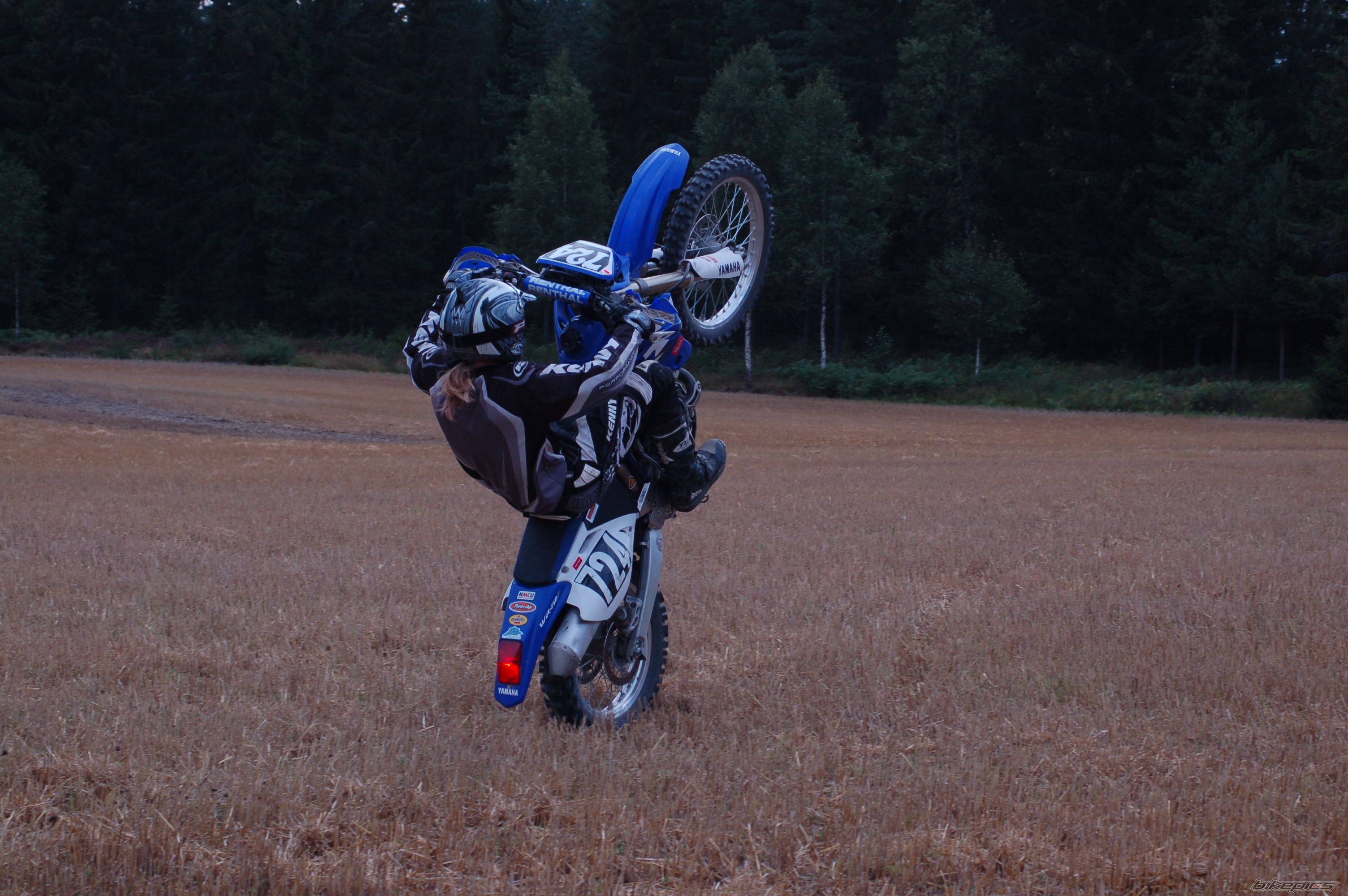 2006 YAMAHA WR450 | Picture 730861 motorcycle photo