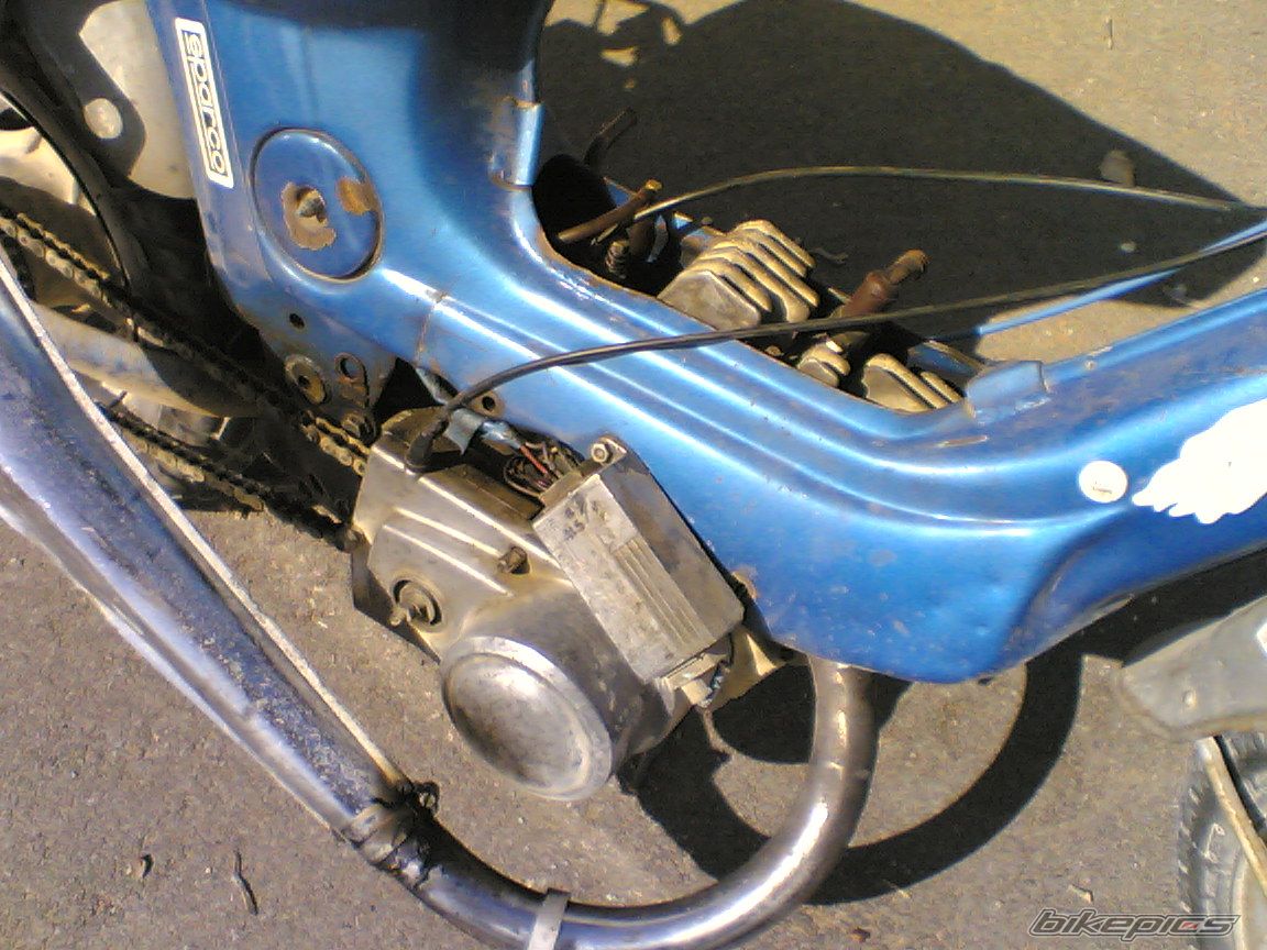2002 HONDA CHALY | Picture 731230 motorcycle photo