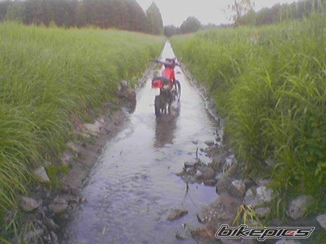 1986 HONDA XL 500 | Picture 731872 motorcycle photo