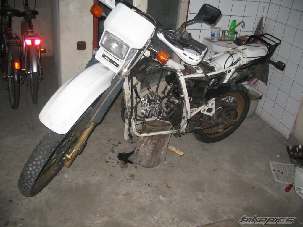 1986 HONDA XL 600 | Picture 731887 motorcycle photo
