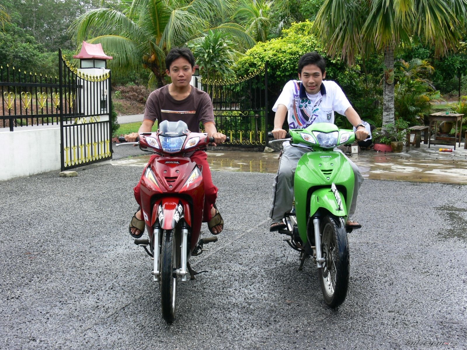 2006 HONDA WAVE 125 | Picture 732144 motorcycle photo