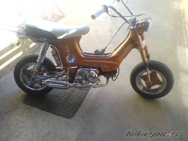 2006 HONDA CHALY | Picture 732563 motorcycle photo