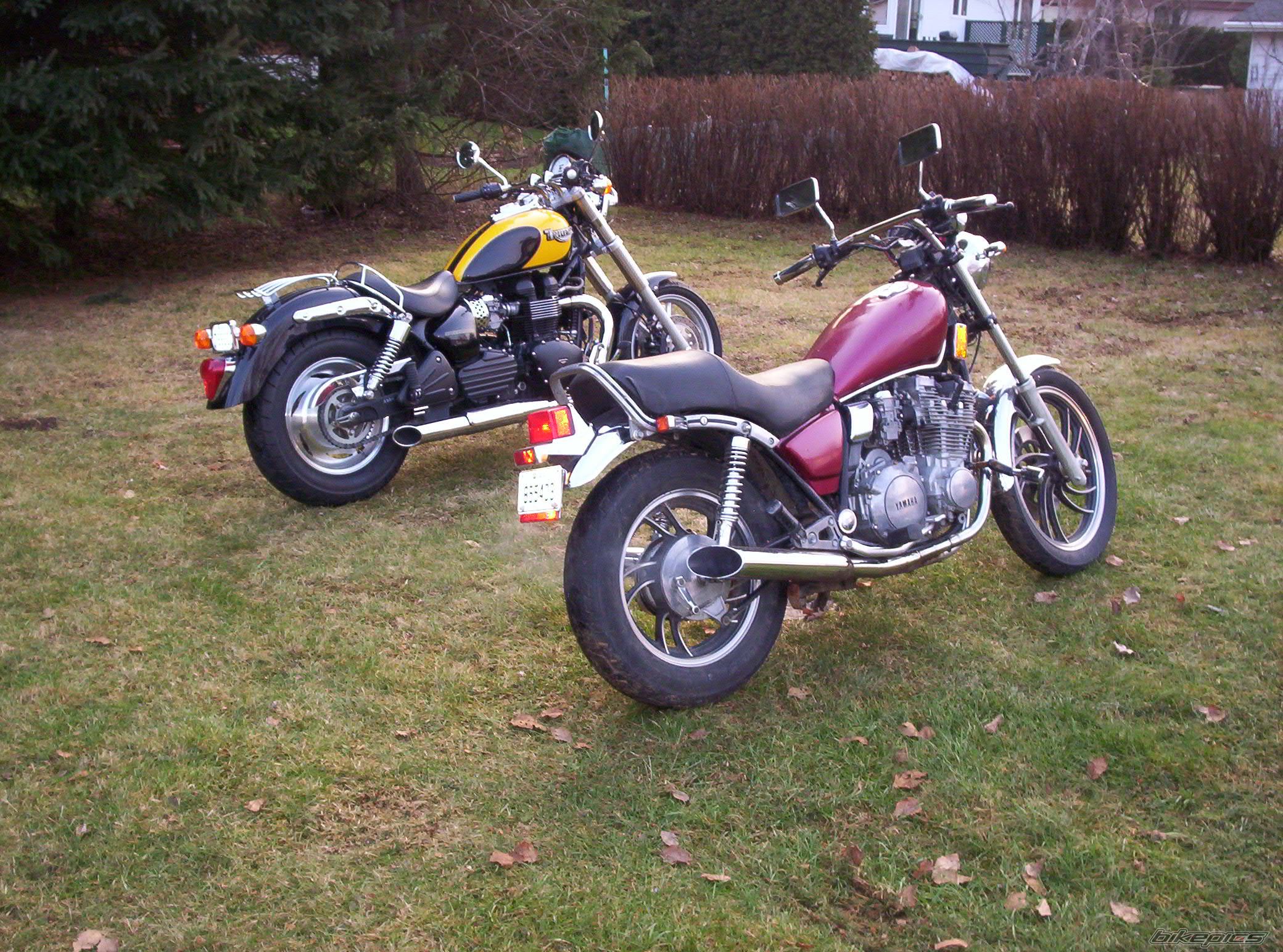 1981 YAMAHA MAXIM 650 | Picture 732985 motorcycle photo