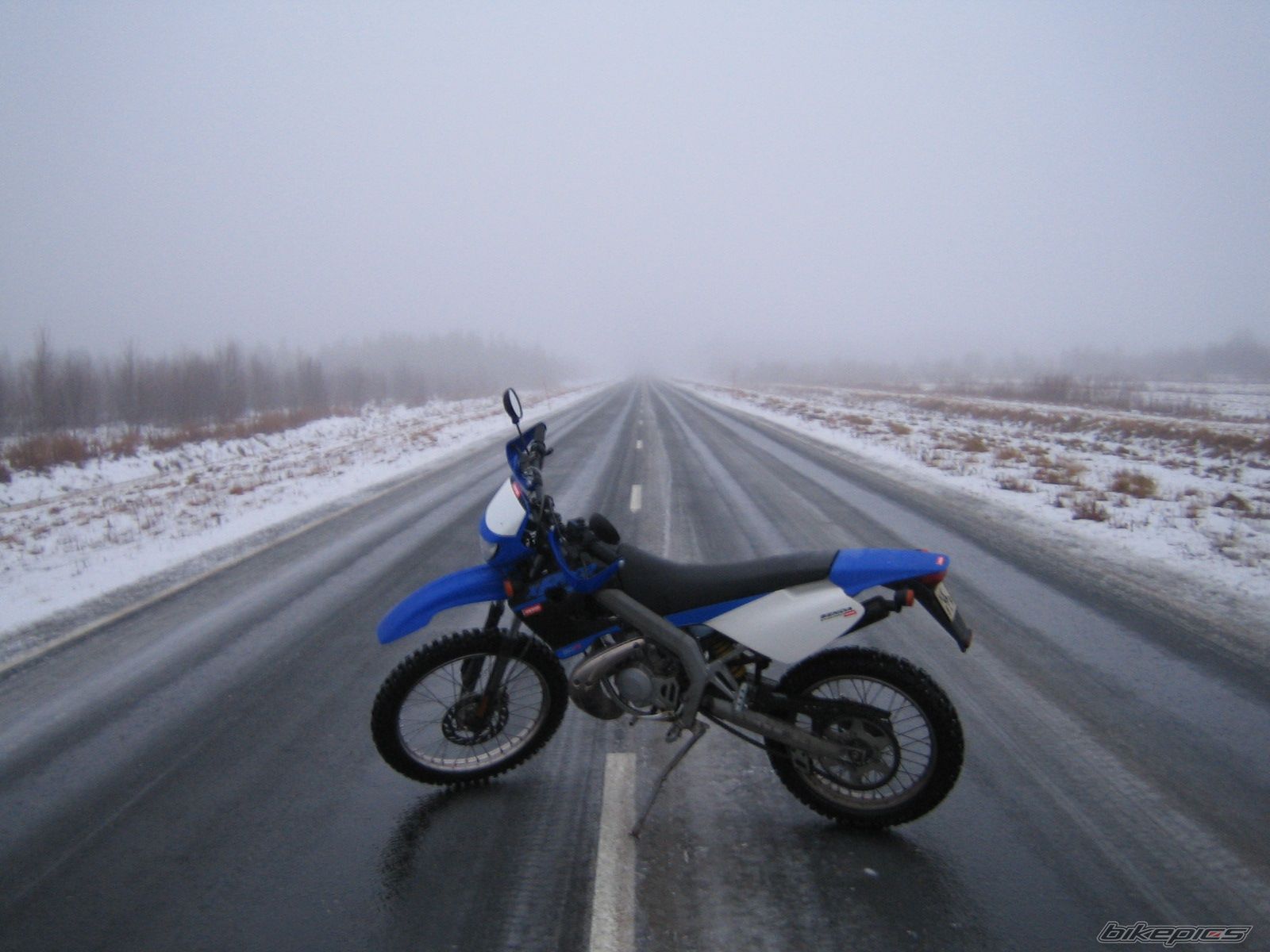 2004 DERBI SENDA XRACE SM 50 | Picture 733275 motorcycle photo