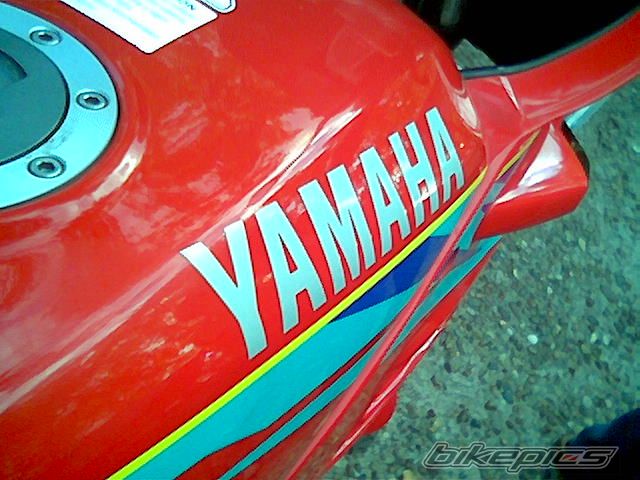 1999 YAMAHA VRR 150 | Picture 733390 motorcycle photo