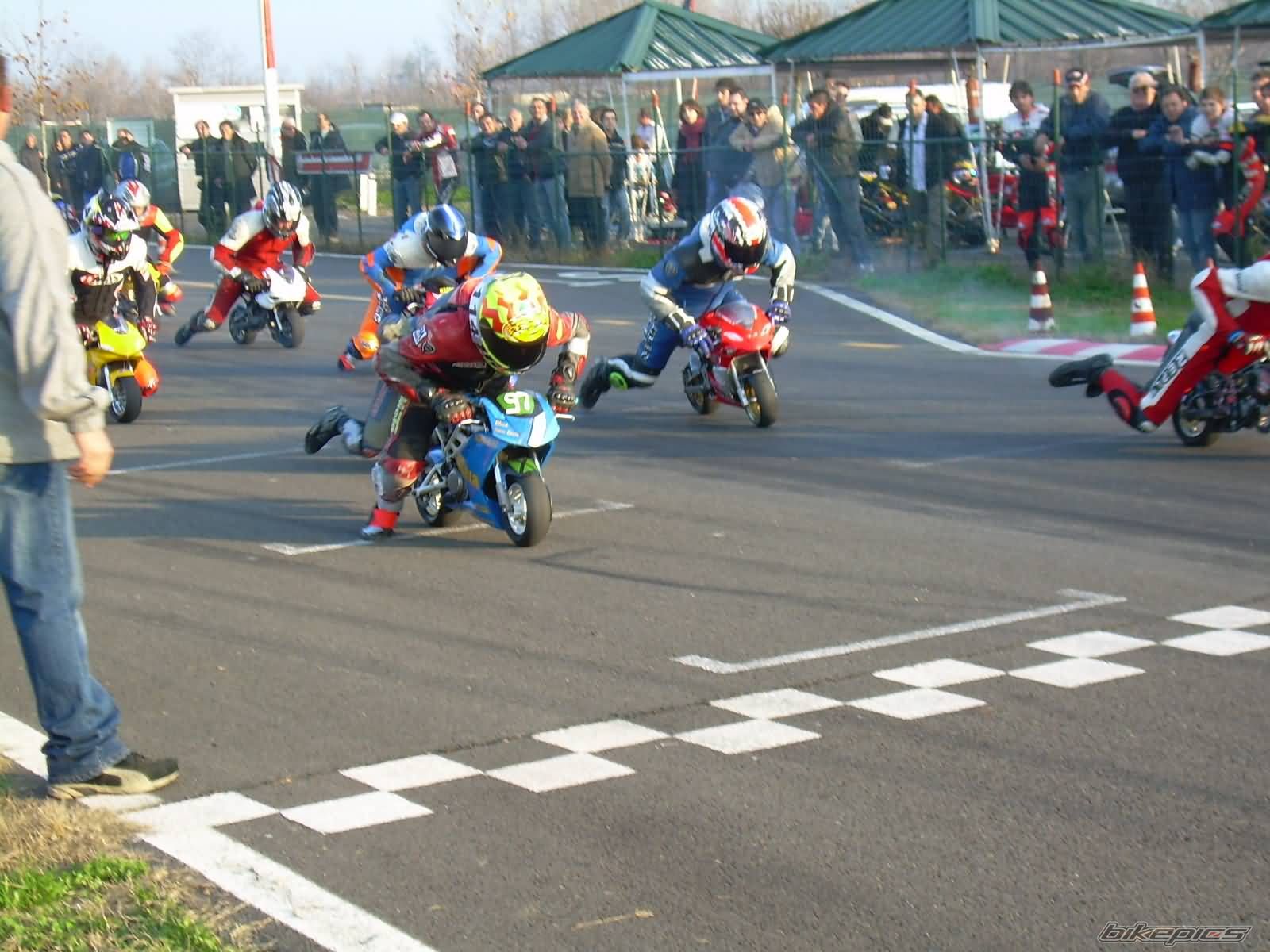 2005 DM MINIBIKE | Picture 733477 motorcycle photo