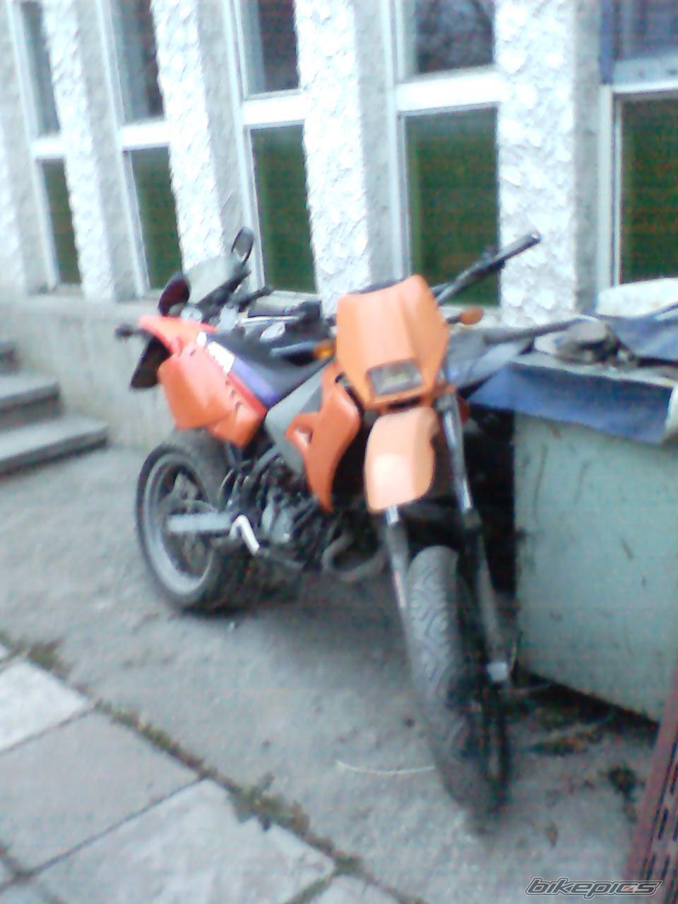 1999 BETA RR 50 | Picture 733962 motorcycle photo