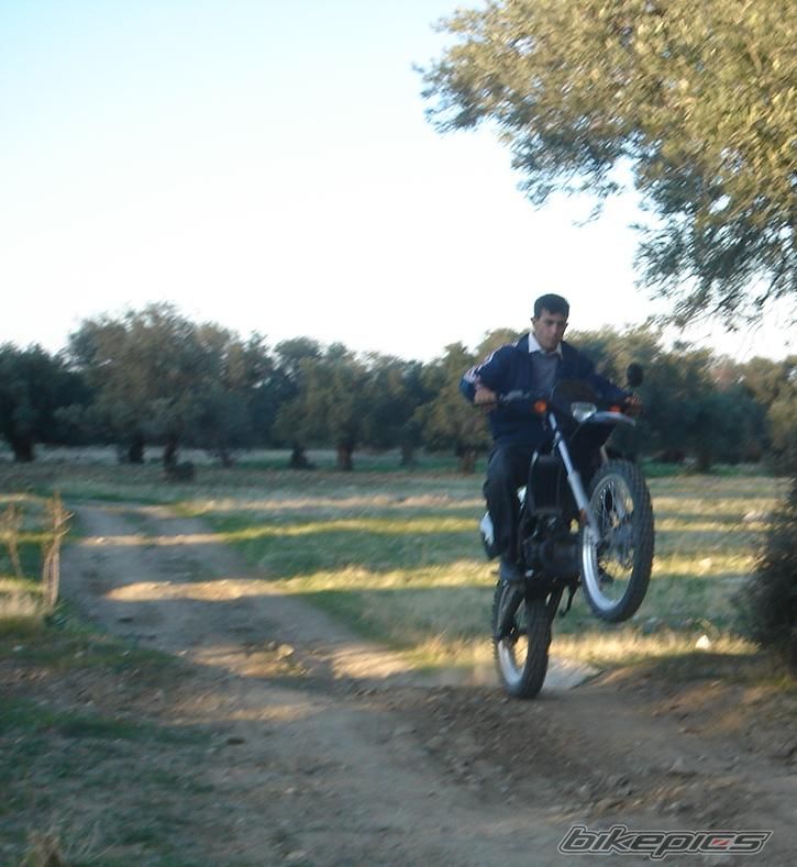 2006 GILERA RCR 50 | Picture 734101 motorcycle photo