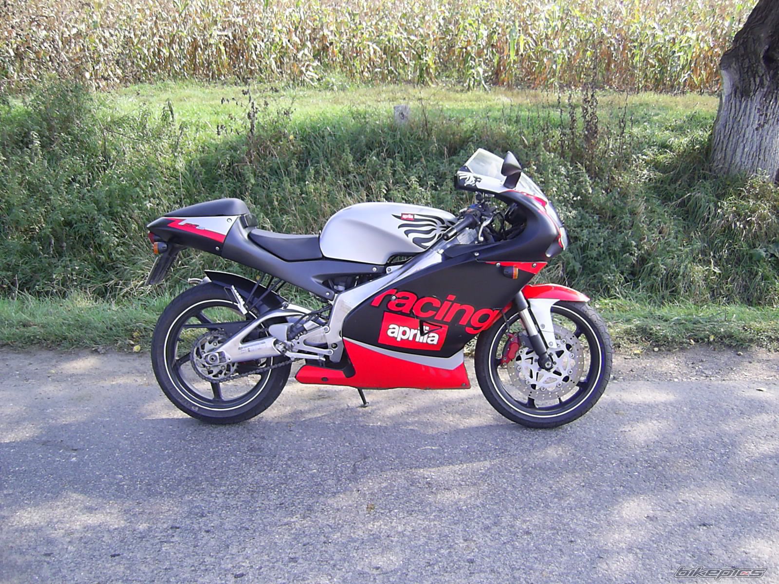2001 APRILIA RS 125 | Picture 734851 motorcycle photo