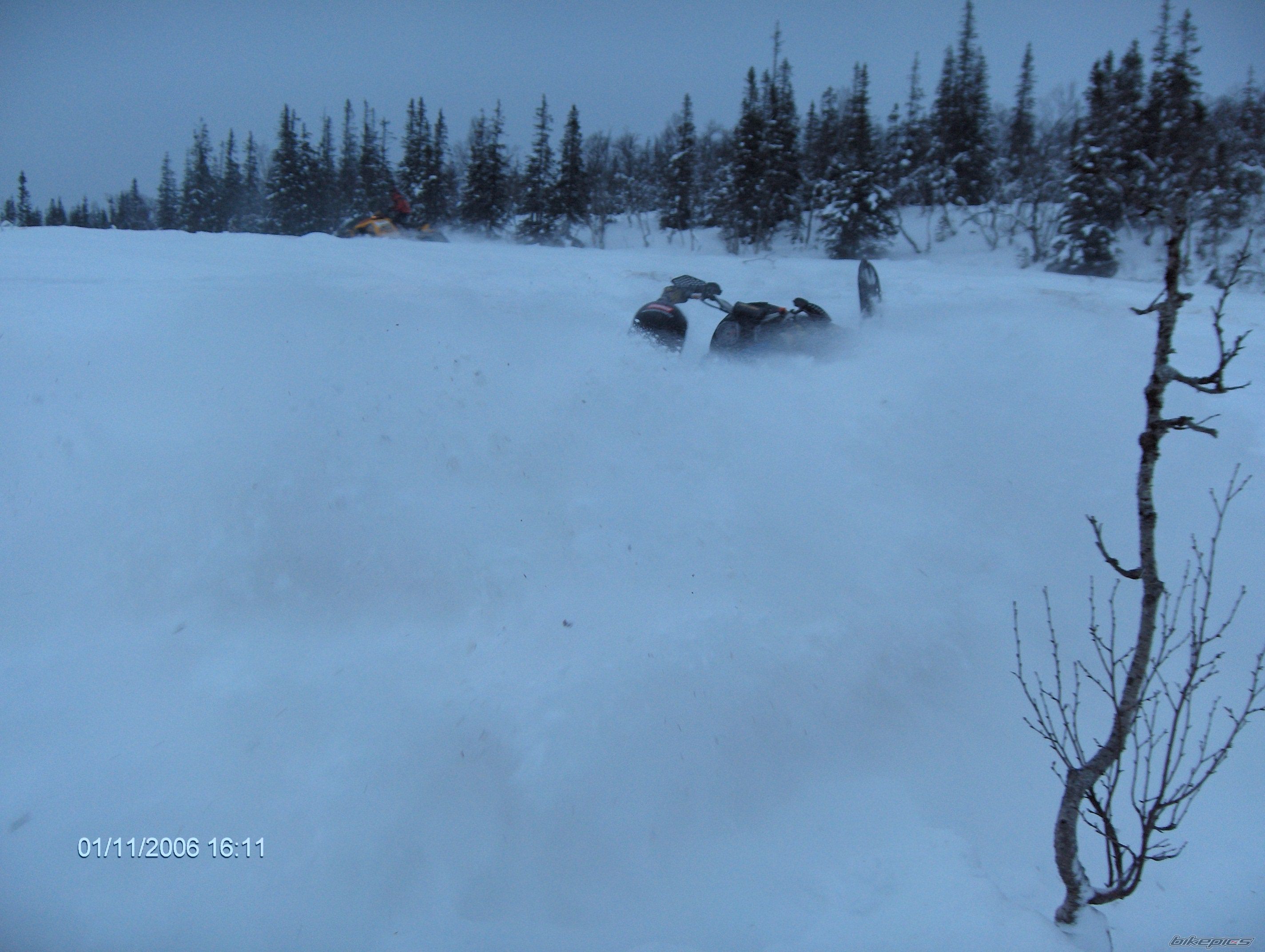 2005 SKI DOO MXZ 440 | Picture 735179 motorcycle photo