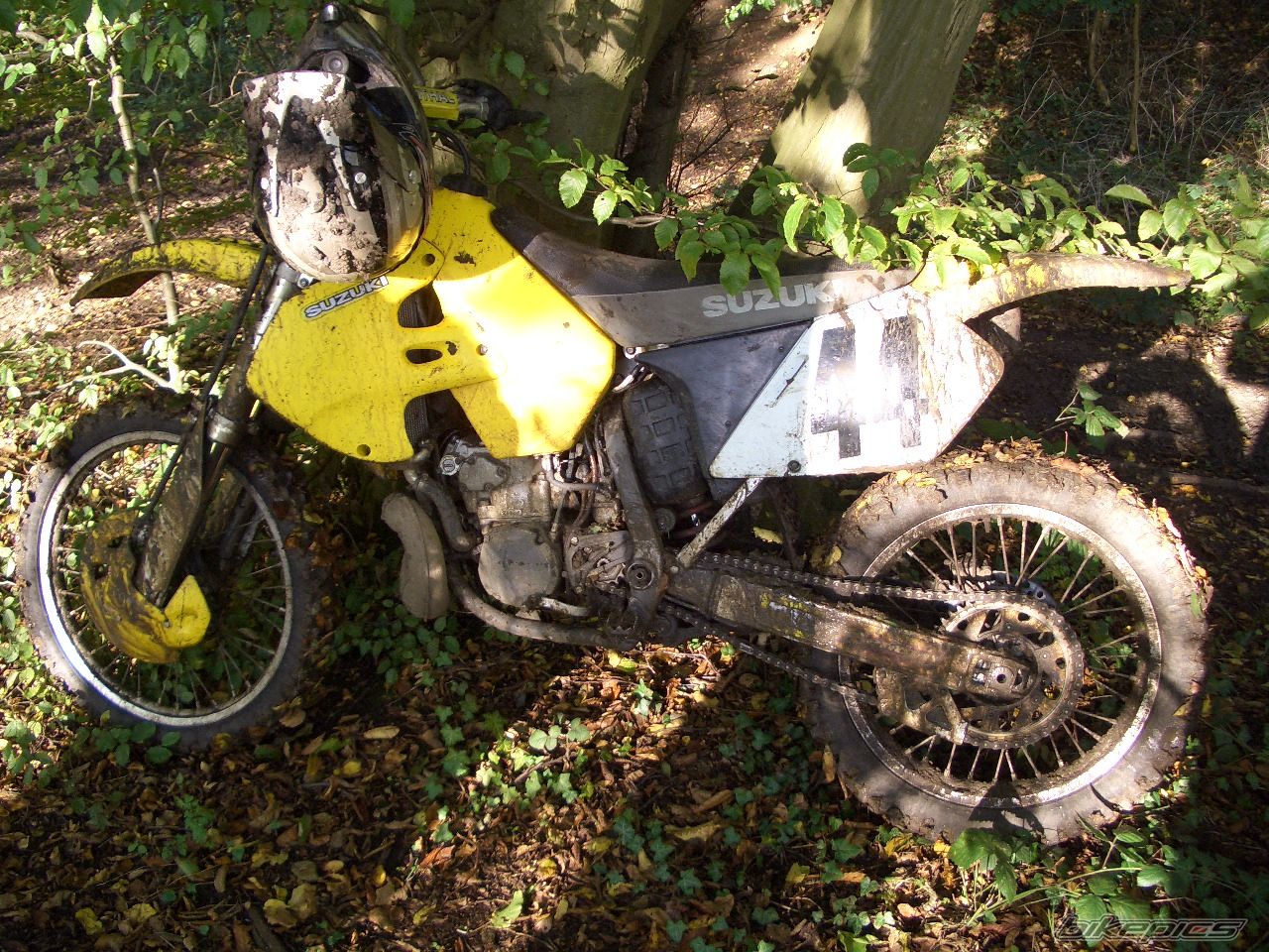 2000 SUZUKI RM 250 | Picture 735257 motorcycle photo