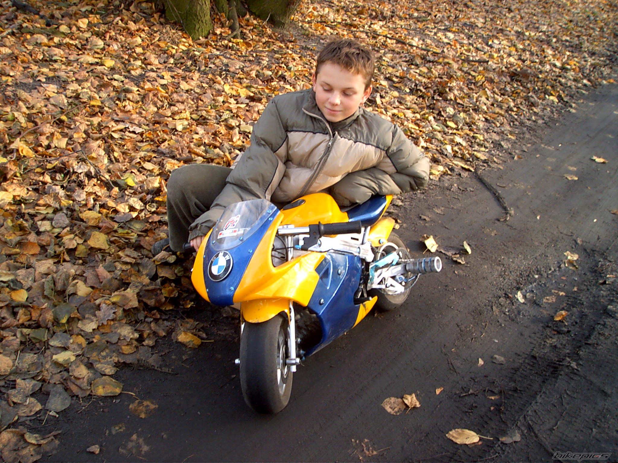    | Picture 735530 motorcycle photo