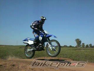 2001 YAMAHA TTR 225 | Picture 73571 motorcycle photo