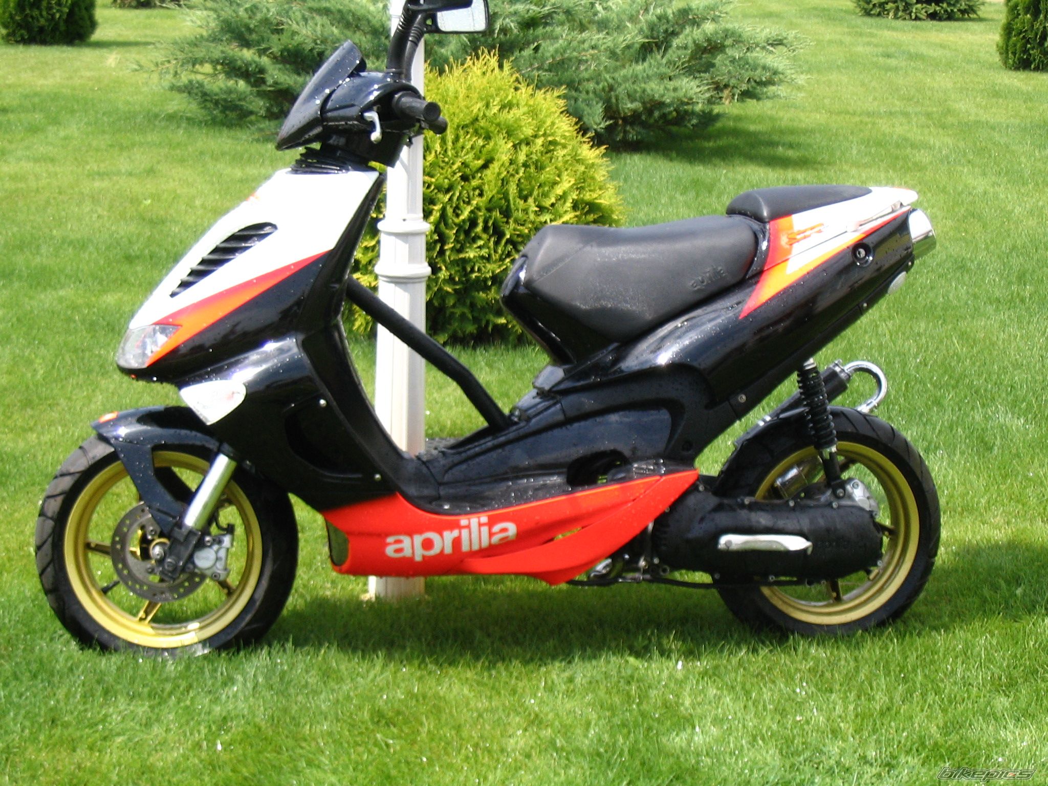 2006 APRILIA SR 50 | Picture 737246 motorcycle photo