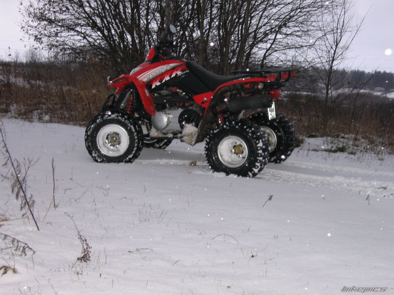 2003 KYMCO KXR 250 | Picture 737760 motorcycle photo