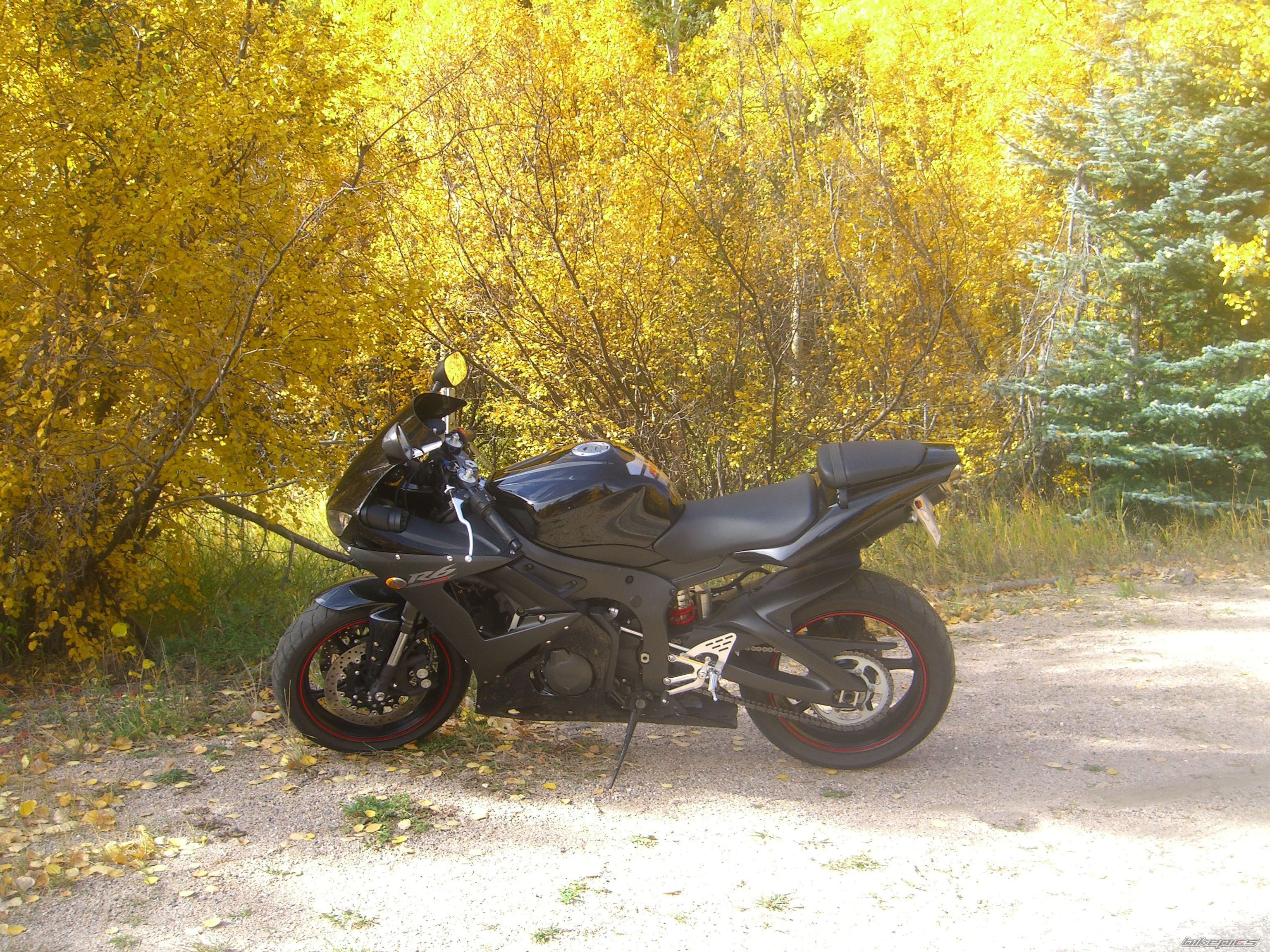 2005 YAMAHA YZF R6 | Picture 738179 motorcycle photo