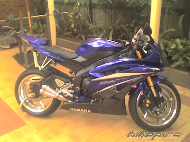 2006 YAMAHA YZF R6 | Picture 739310 motorcycle photo