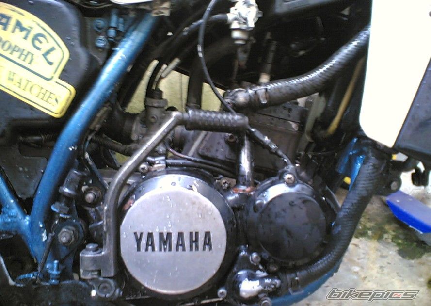    | Picture 739492 motorcycle photo