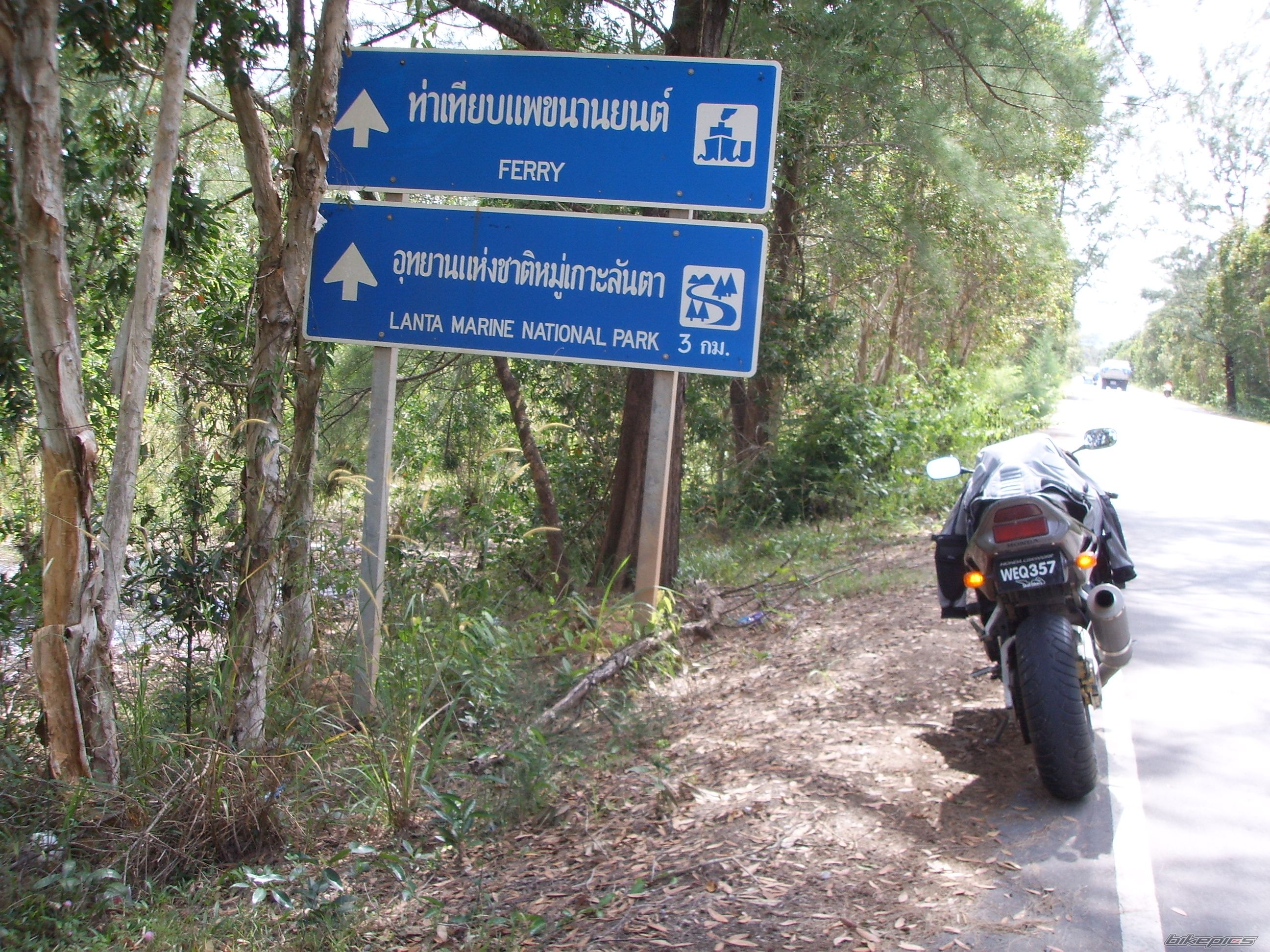 1995 HONDA CBR 900 | Picture 740086 motorcycle photo