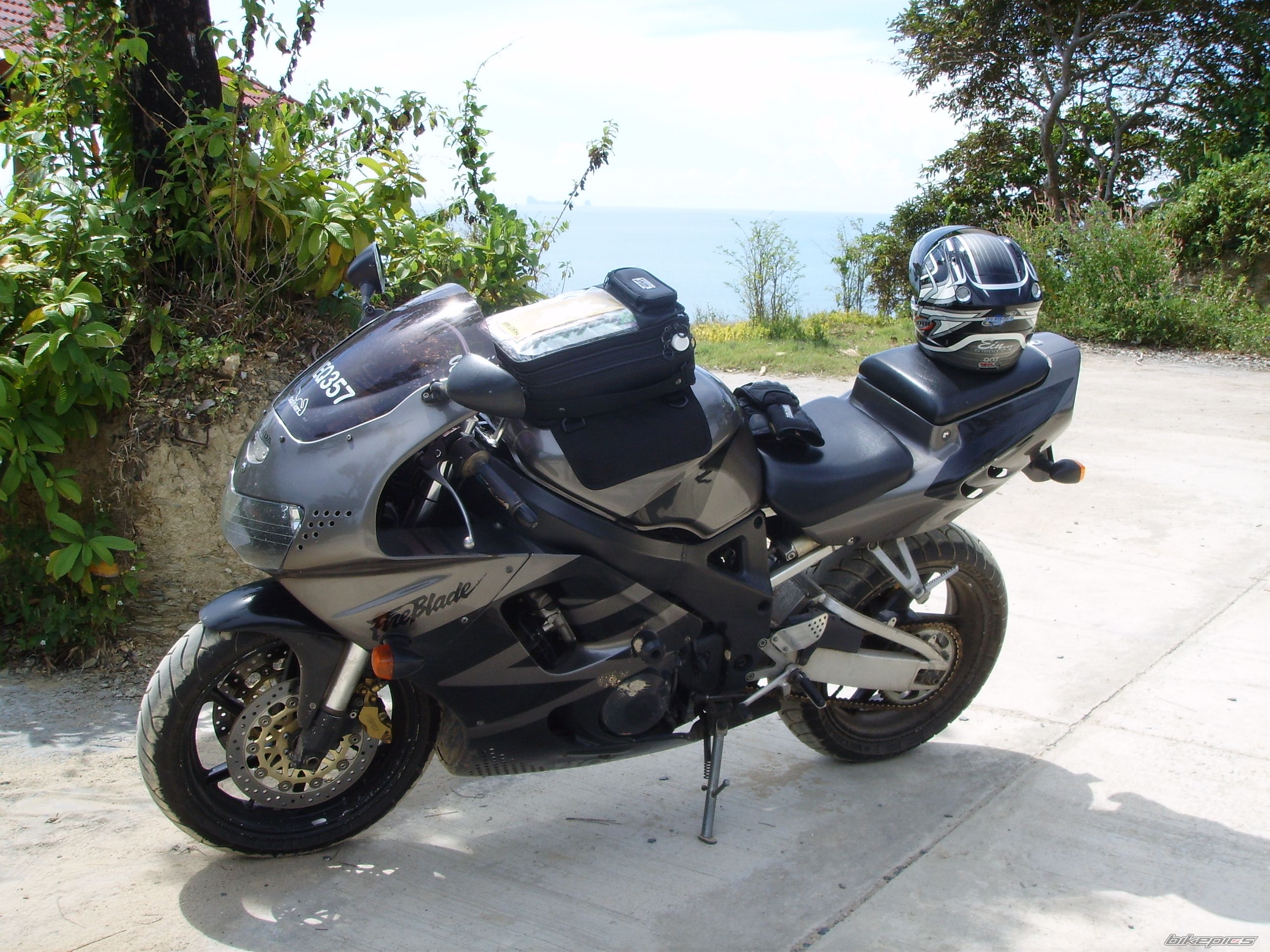 1995 HONDA CBR 900 | Picture 740098 motorcycle photo